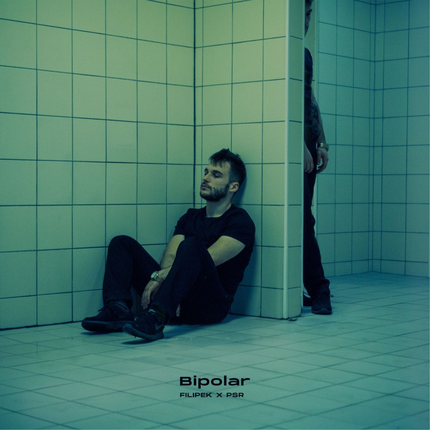 Element dekoracyjny - okładka